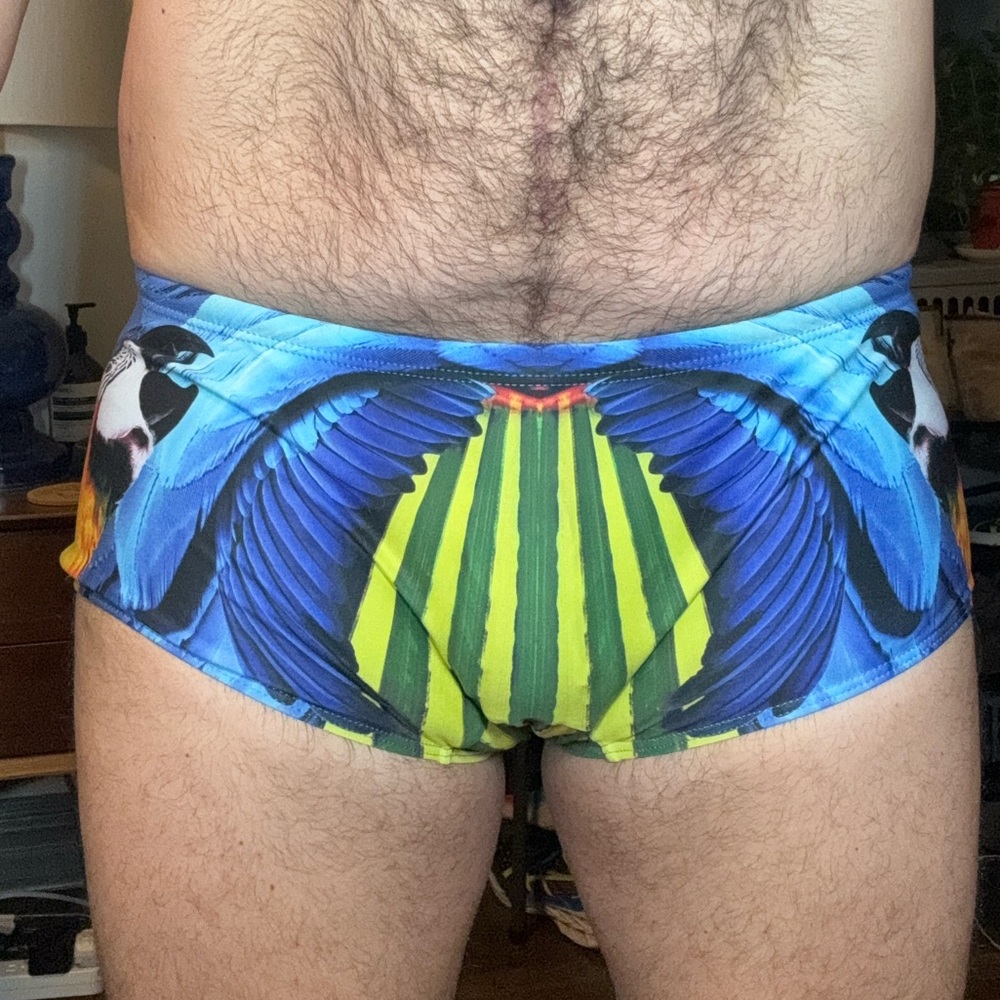 Aussie bum macaw swim